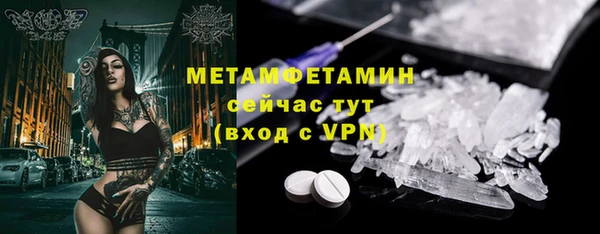 дмт Богданович