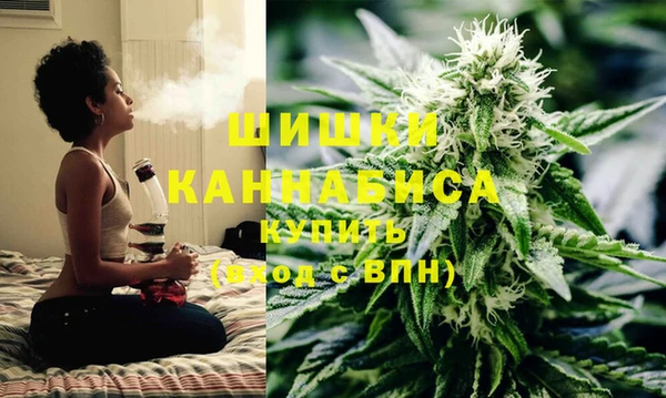 амф Богородицк
