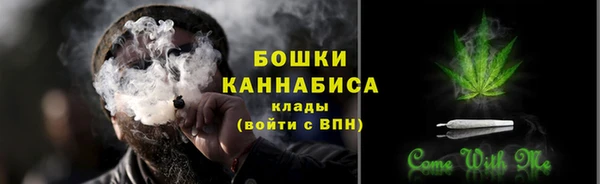амф Богородицк