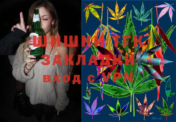 дмт Богданович