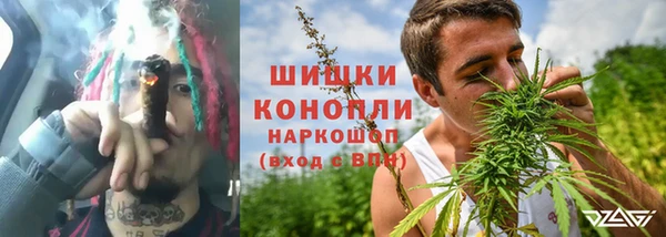дмт Богданович