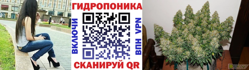 Канабис MAZAR  закладки  Белоярский 